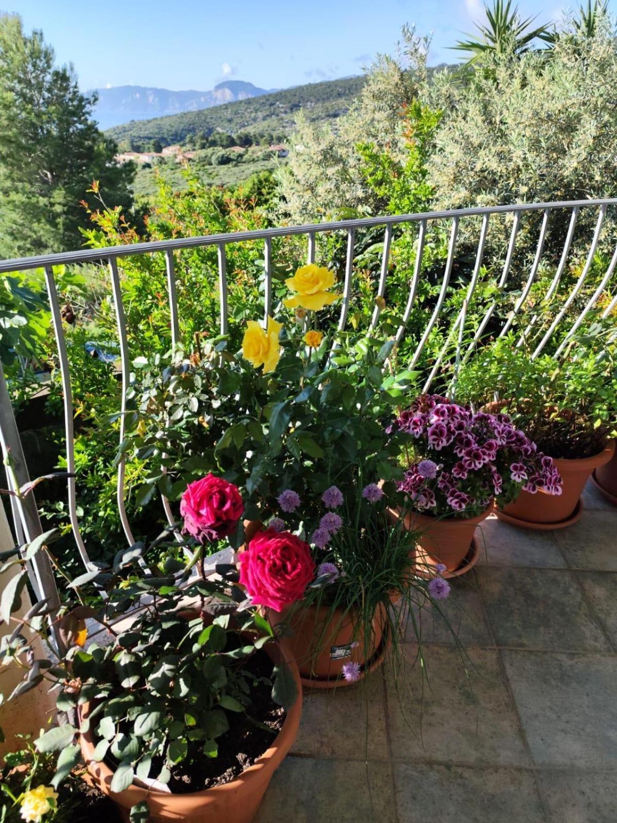 B&B Easy Wind Cala Gonone Luaran gambar