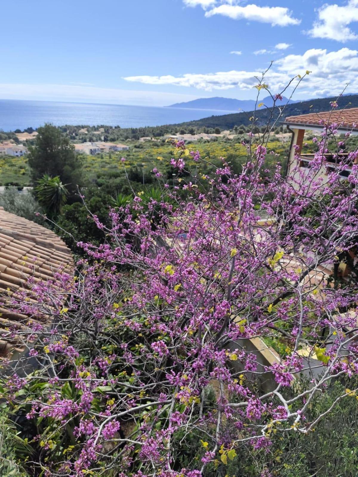 B&B Easy Wind Cala Gonone Luaran gambar